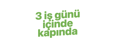 3 iş günü